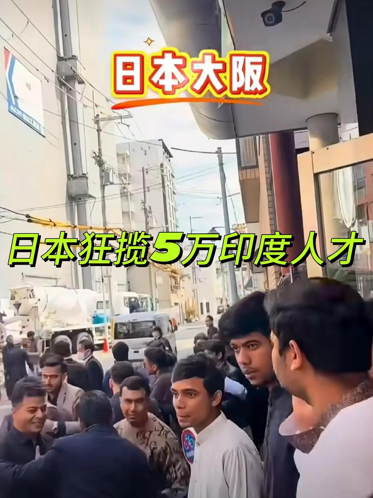 好家伙，日本这回是真急眼了，直接宣布要从印度引进5万技术人才，专门填补IT和工程
