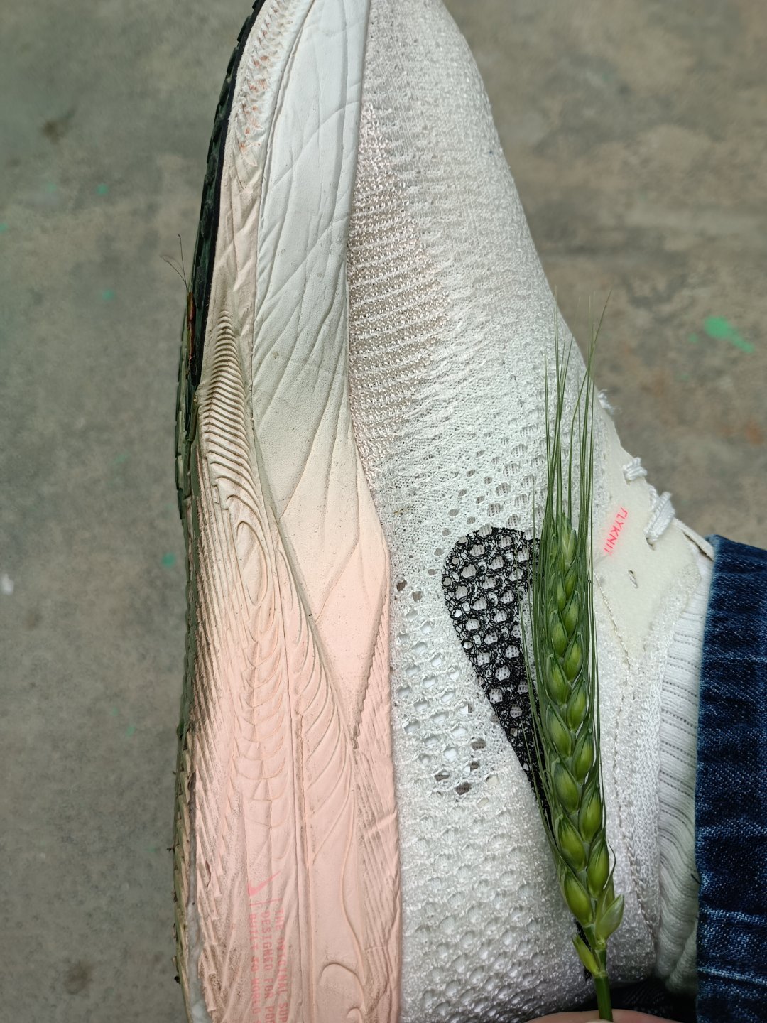 遍地踏青，独少一人 