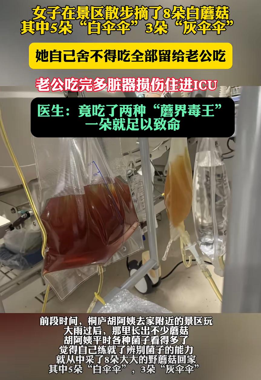 是无知还是故意？浙江杭州，60岁的女子在景区摘8朵蘑菇，回家做了一碗面条，自己一