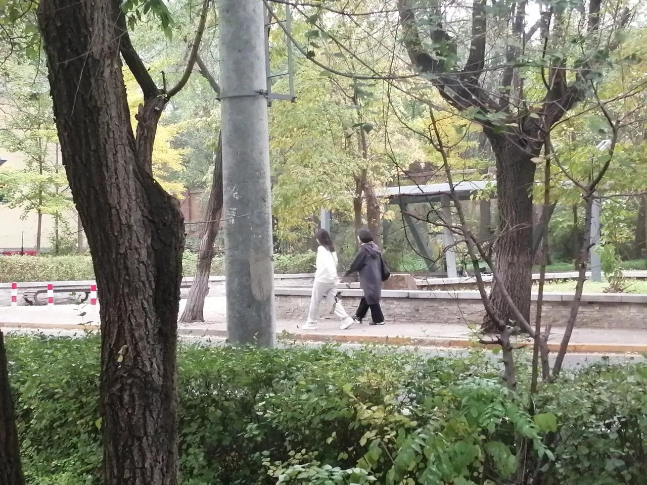 #秋日生活打卡季#盛京秋景随拍—今天下午拍于沈阳龙山路#奉天深秋# #暖城秋景#
