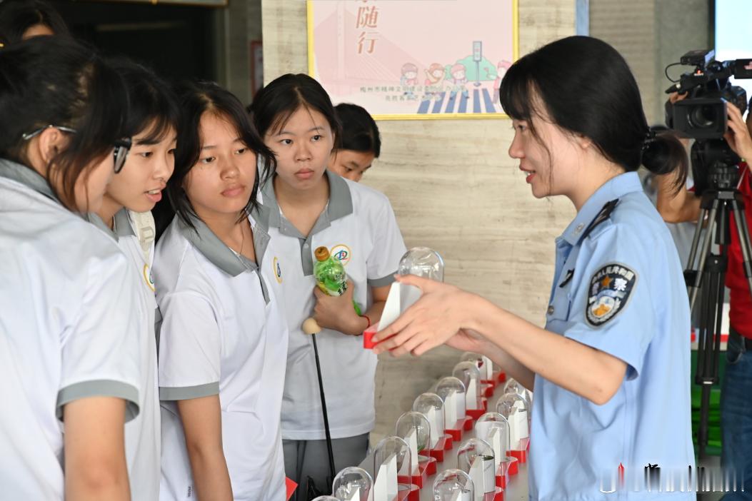 两名初中生田间用AI识图发现罂粟 浙江湖州两名初中生田间游玩时，凭借课堂所学的禁