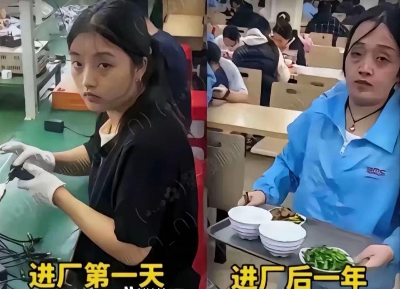 进厂第一天，妆容精致眼神清澈，小心翼翼戴着手套干活，满眼对新生活的期待。进厂满一