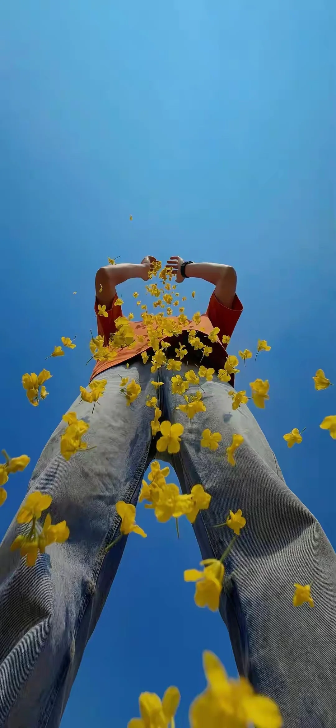 我曾经分享过，孤独（情感孤独）并不是一个人这件事，孤独指的是和某个人在...