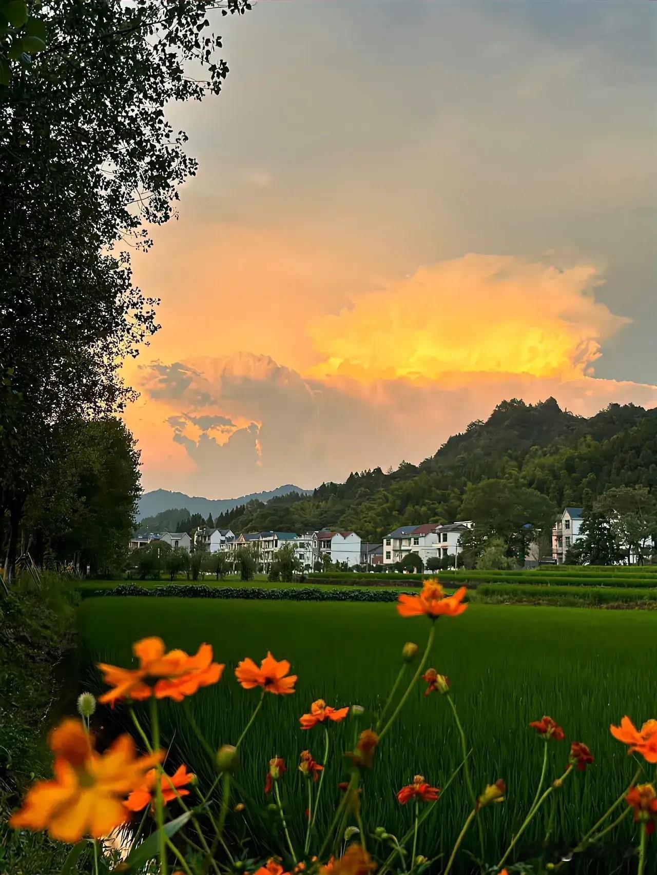 “天下英雄如过江之鲫”，可为啥多数人越走越窄？答案藏在“局部最优”的选择里。
