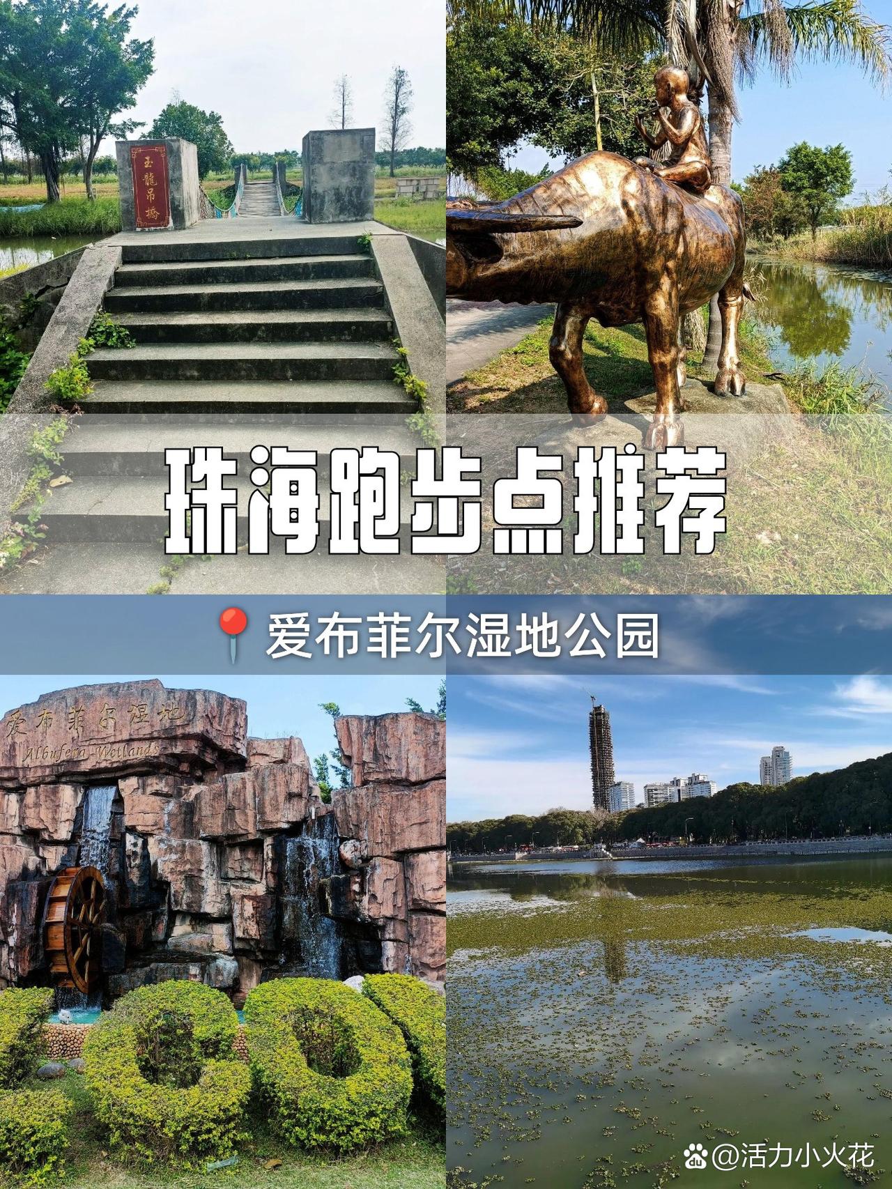 春日漫游珠海｜私藏湿地公园跑步指南

🌿发现了一个藏在珠海的宝藏湿地公园！人少