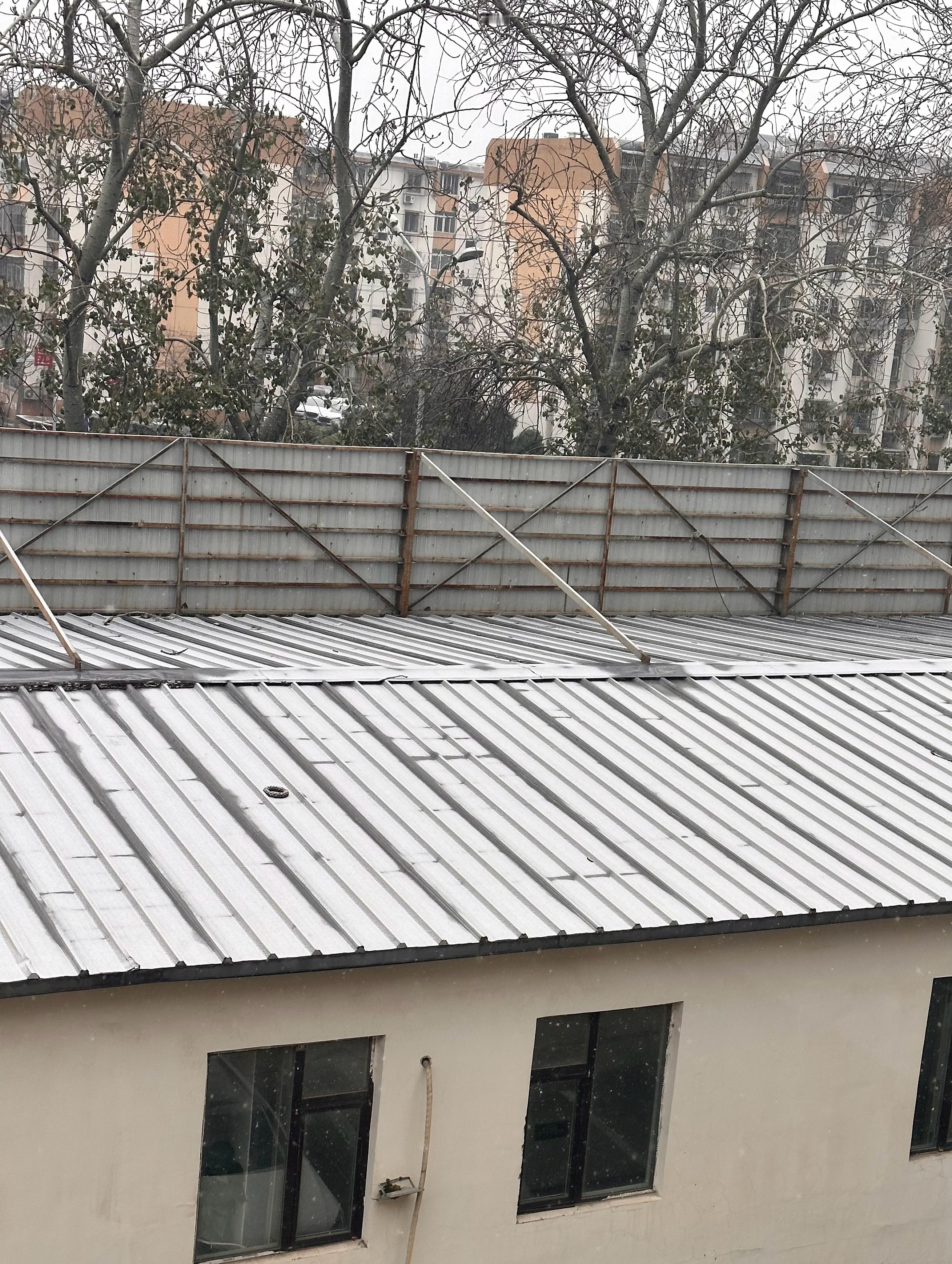 北京下雪 一扭头，看到已经下雪了，我还以为雪铺满了房顶。仔细一看，人家房顶的彩钢