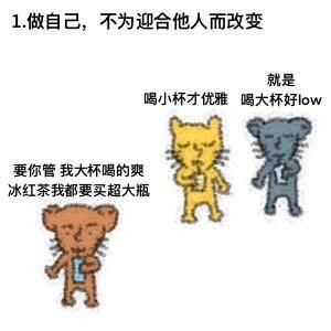 2025 请开始遵循小猫生活法则…… 