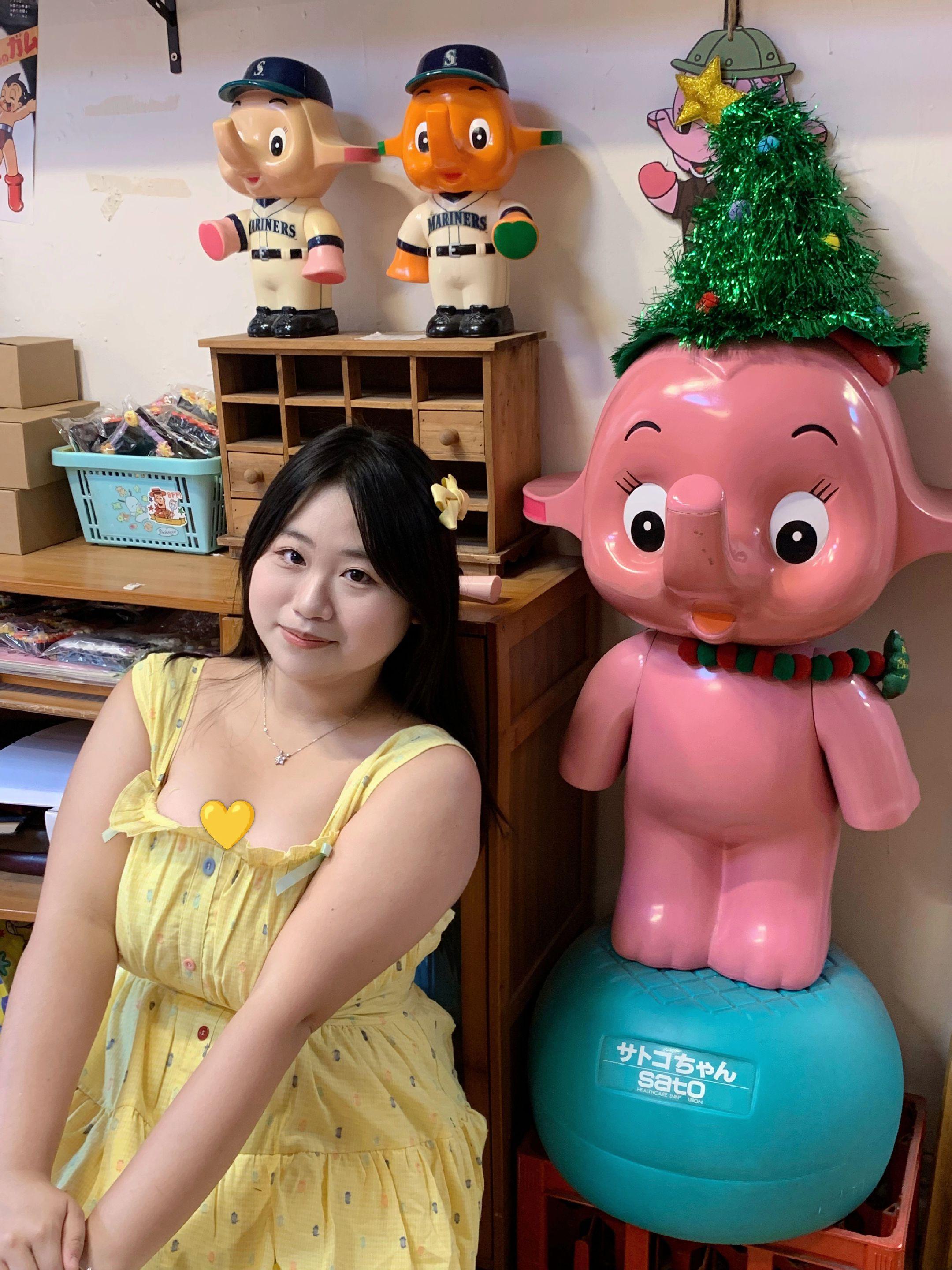 可爱小象🐘💛