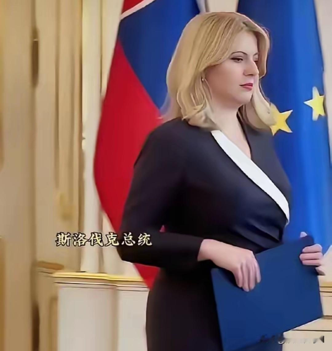 斯洛伐克前总统恰普托娃凭颜值品格圈粉无数。
 
她的美是实打实的干净，素面朝天也