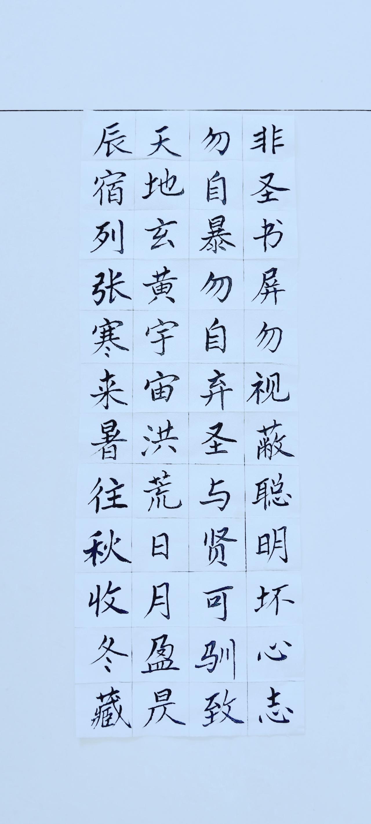 第四十六天《弟子规》（23），《千字文》（1）正楷毛笔练习！练千字文 弟子规书法