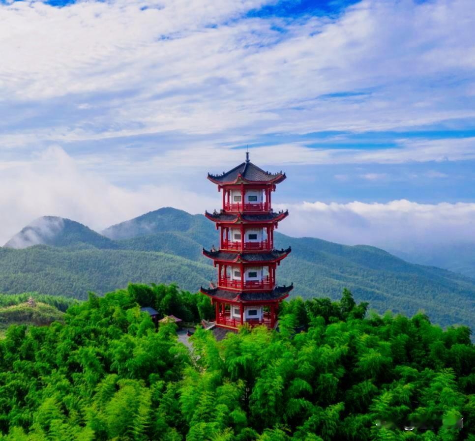 孤独是一个人的清欢，群体则是一个团队的友谊陪伴，在现今社会其实人与人之间的关系没