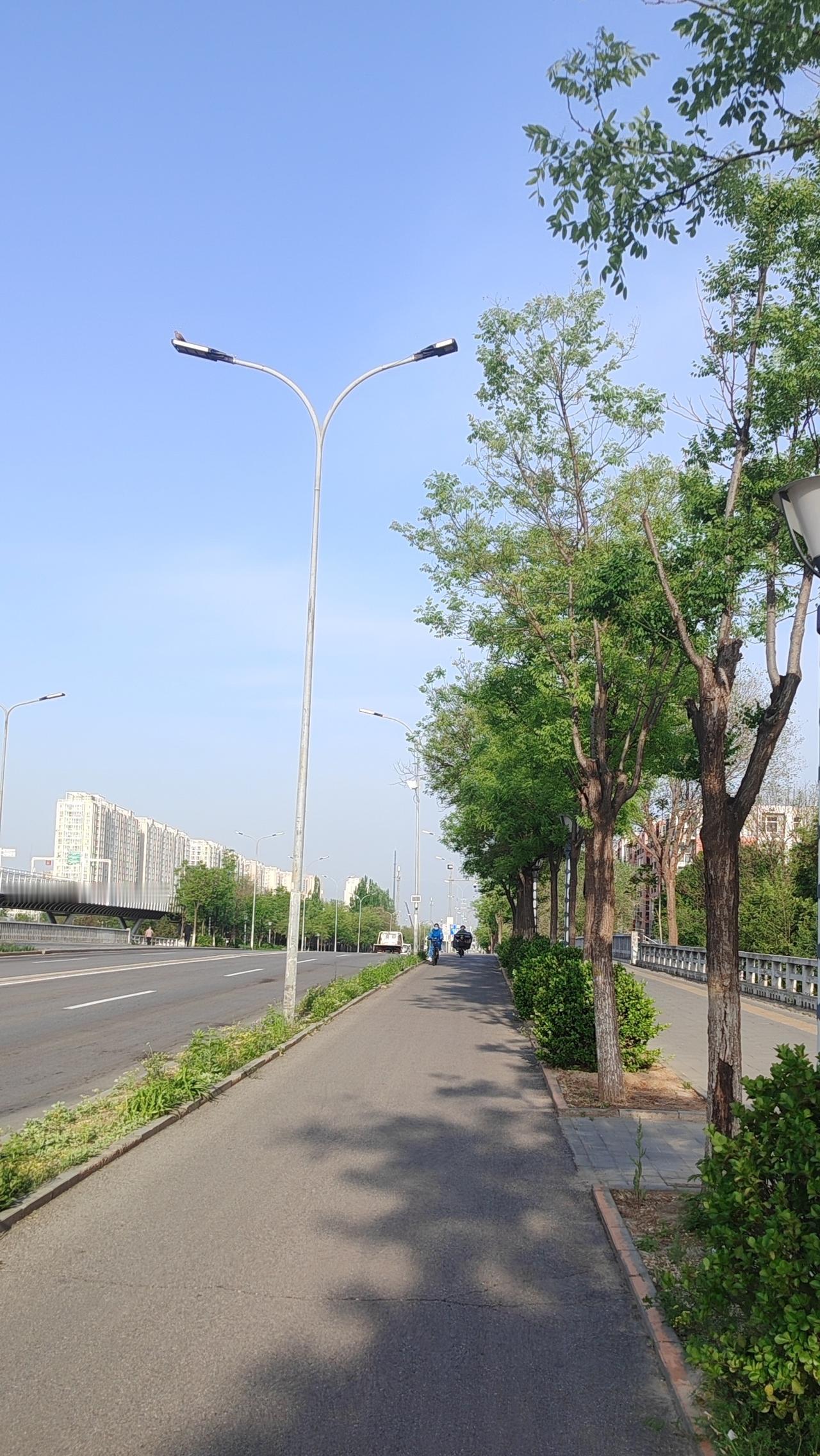 晒图笔记大赛知行合一，行胜于言：一位年轻的画家，总是梦想着画出传世之作，却迟迟不