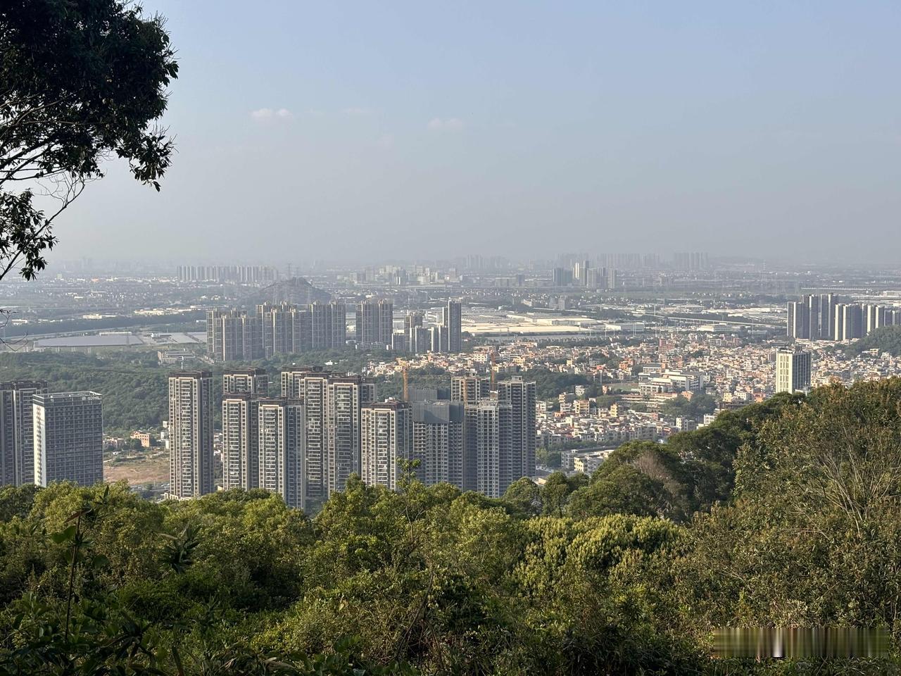 大山乸森林公园眺望城市景观最好的方位就是东南边，既能看到蕉门河两岸最成熟的南沙城
