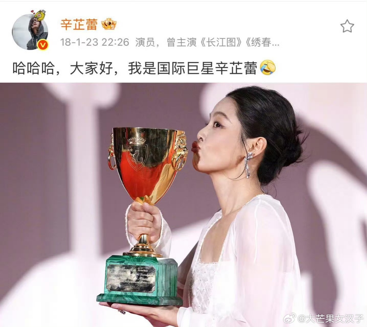 辛芷蕾 显化 用“显化”定义辛芷蕾的成功，是对努力的矮化。她的镜头张力、角色突破