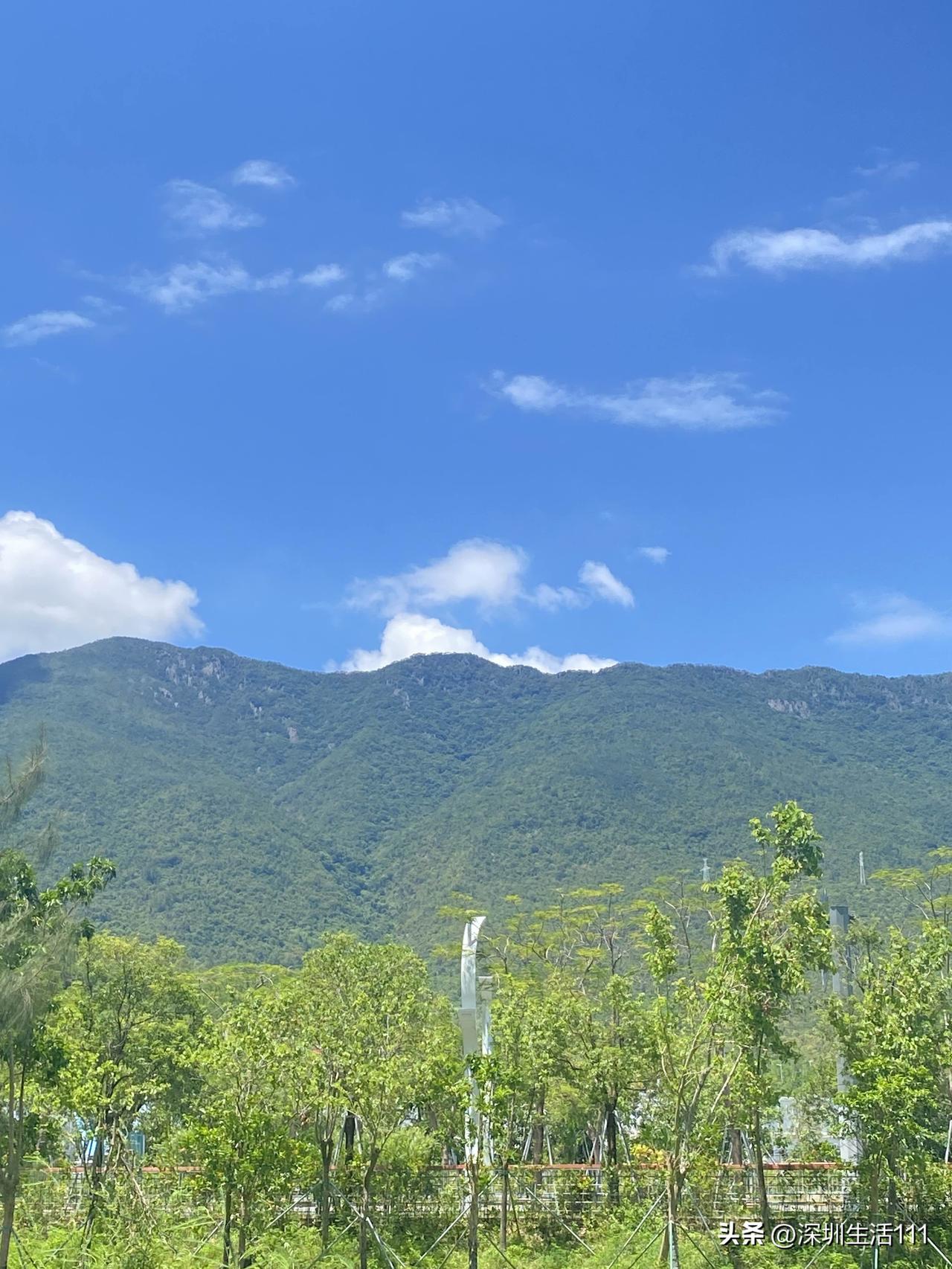 今天一个男性朋友咨询我一件事。他说，他们公司今天找他谈话，问他愿不愿意去非洲。如