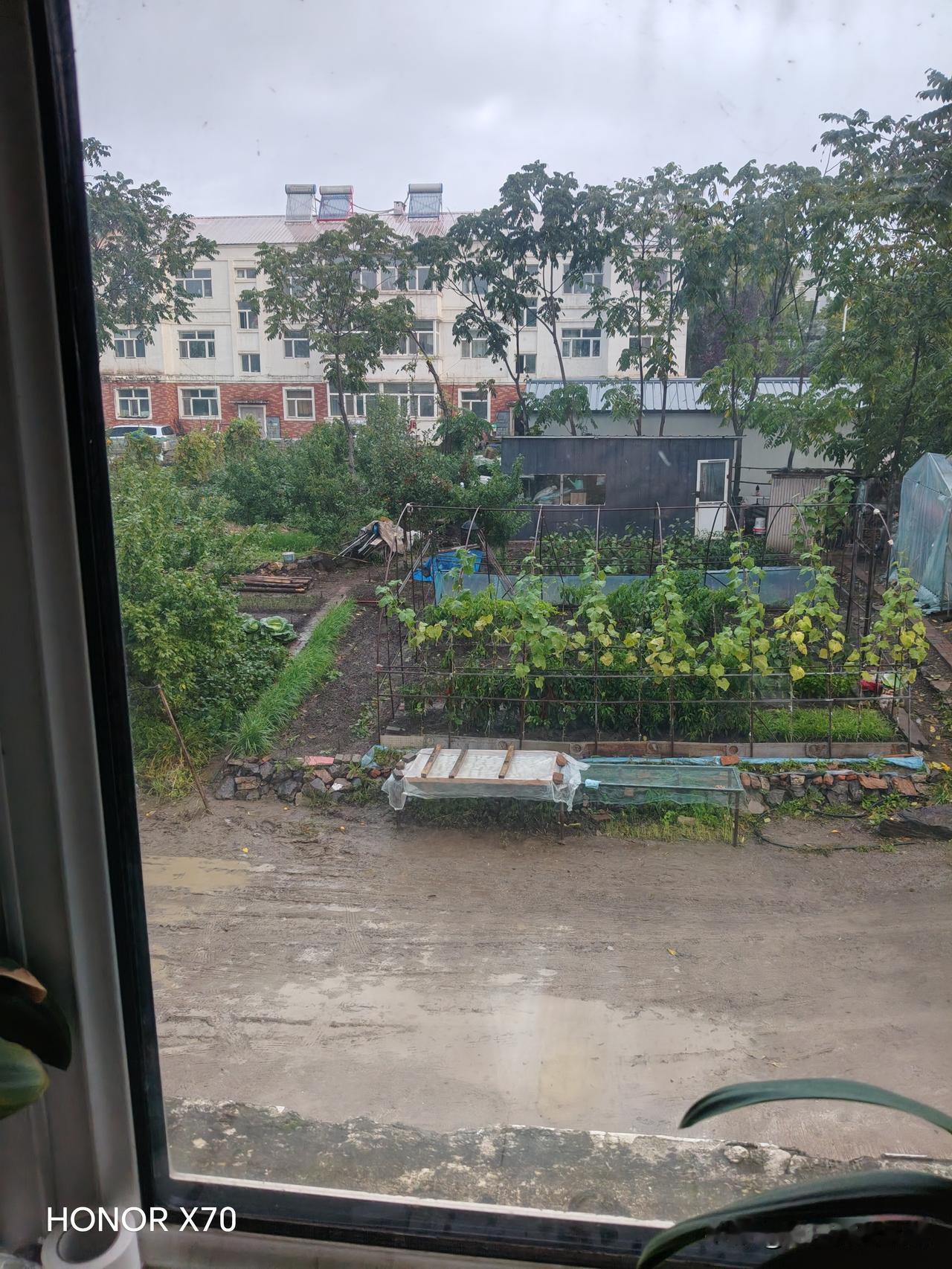 今晨电闪雷鸣，疾风骤雨。没曾想九月中旬的北大荒还会遇上这般天气，秋高气爽本该是北