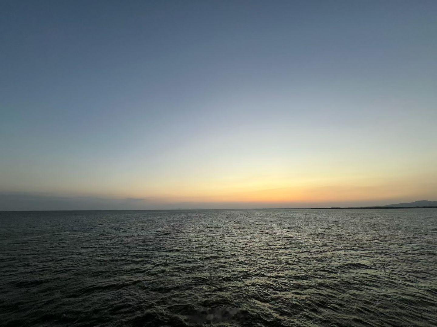 终于理解鸡了，早起然后想尖叫🤯 早安！ 