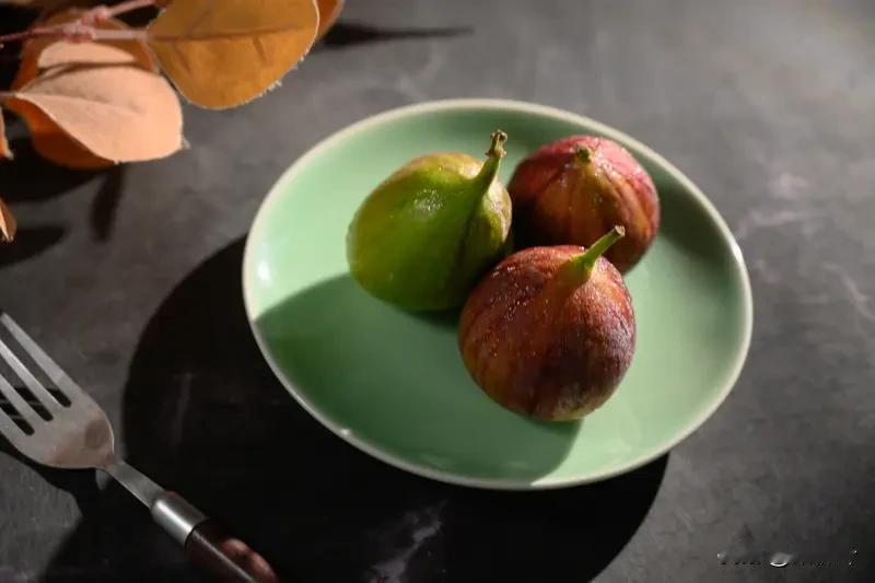 箴言·无花果的人生课

田垄间躬身的农人，
眉间凝着火气，
隔夜的馕，竟也无法嚼