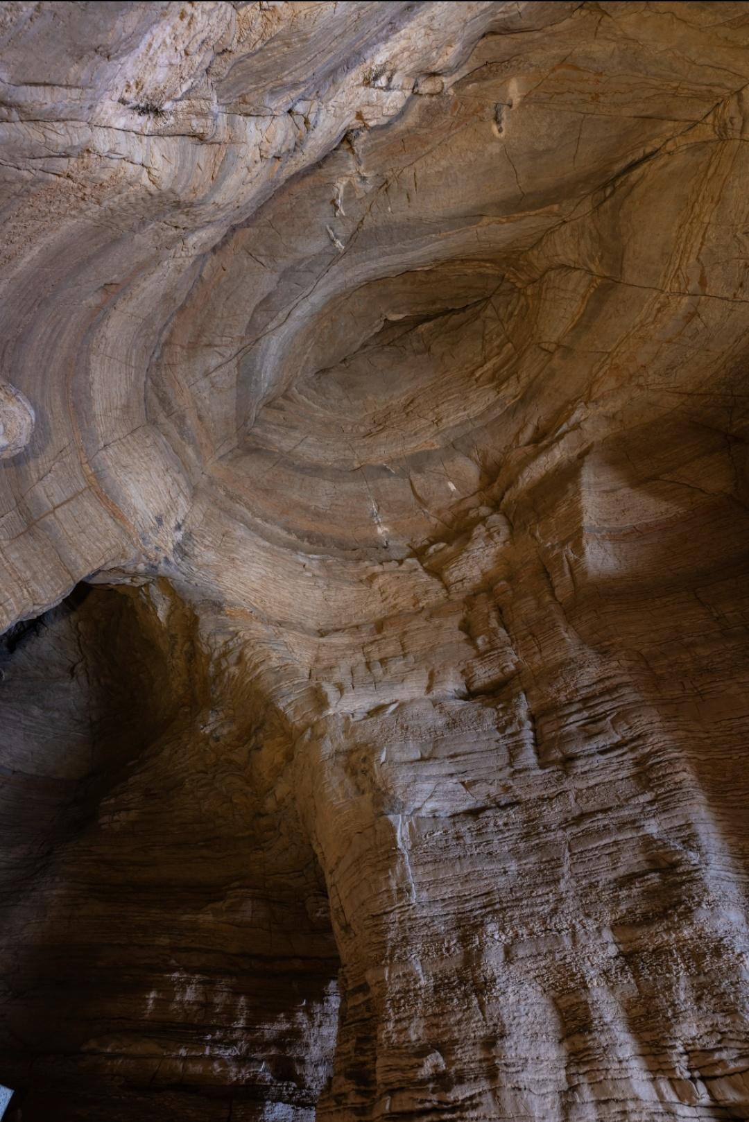 商人这一年，棒打一片，六亲不认，让世界很热闹，小国噤若寒蝉，大国徬徨观望。地球是