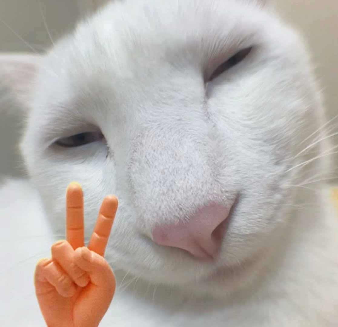 好丑！赶紧拿远点[生病] ​​​