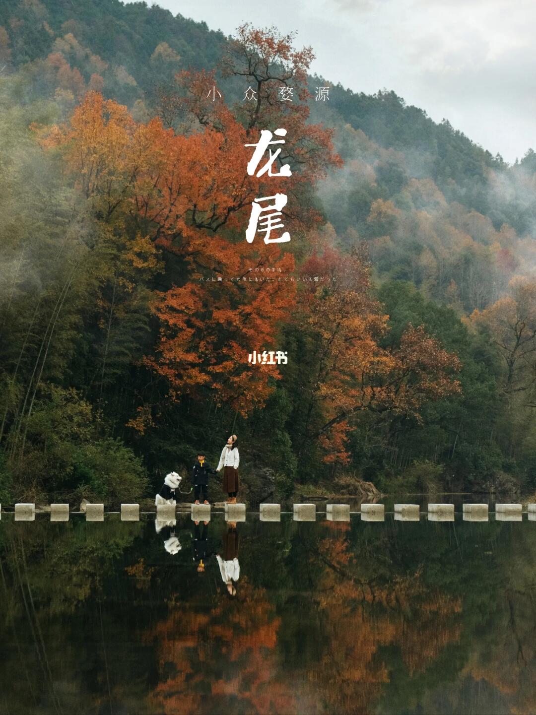 婺源秋色🍁红枫映青溪，便是人间好时节