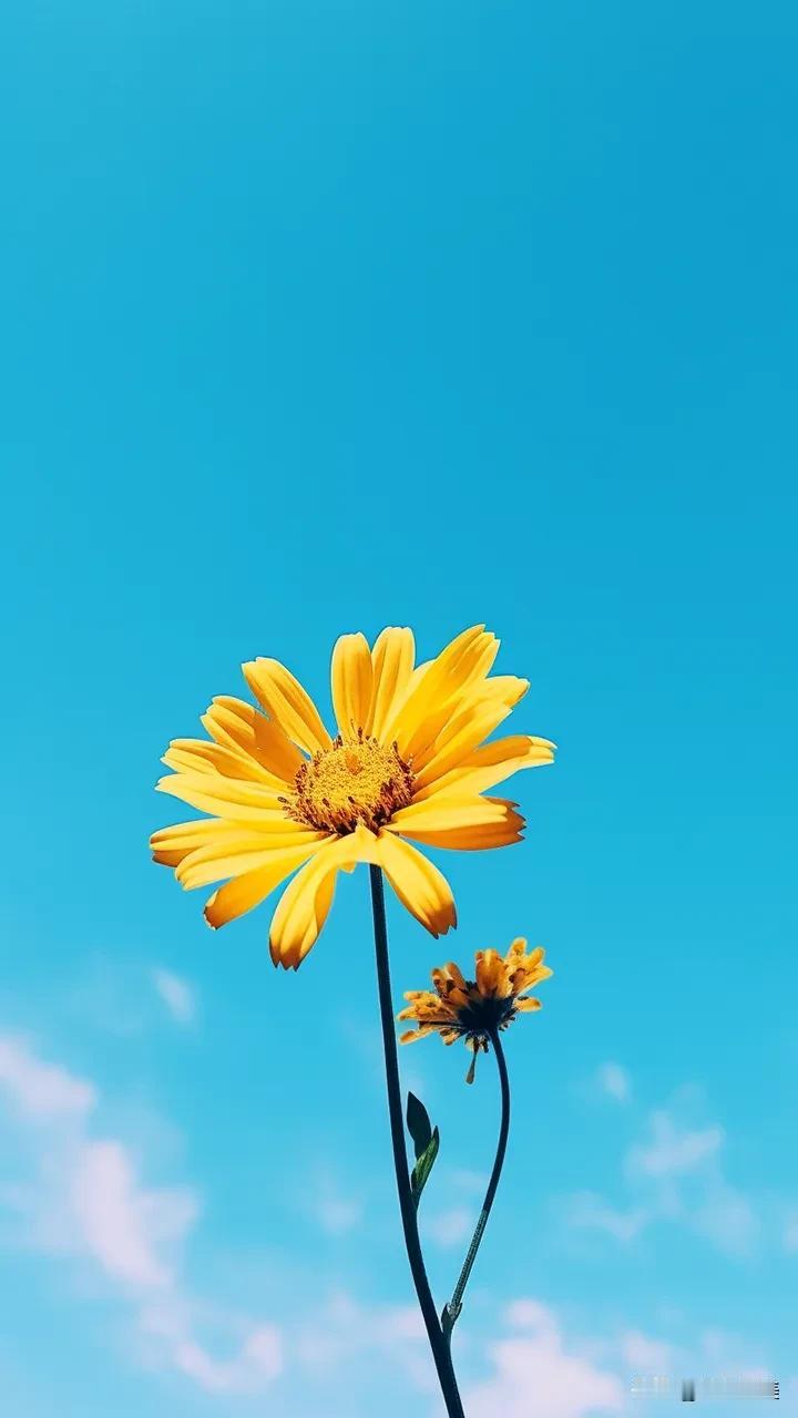 心怀美好，热爱生活，与时光并行，不问花开几许，唯愿岁月无恙，生活简单自在，人间烟