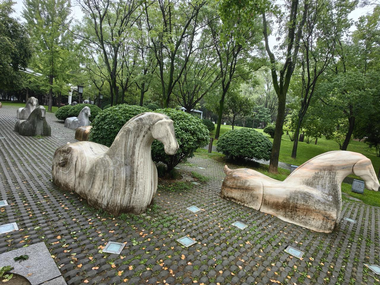 西安旅游这种黑车黑导值得注意，千万不要上当受骗。
最近在西安旅游，遇到一个挂着所