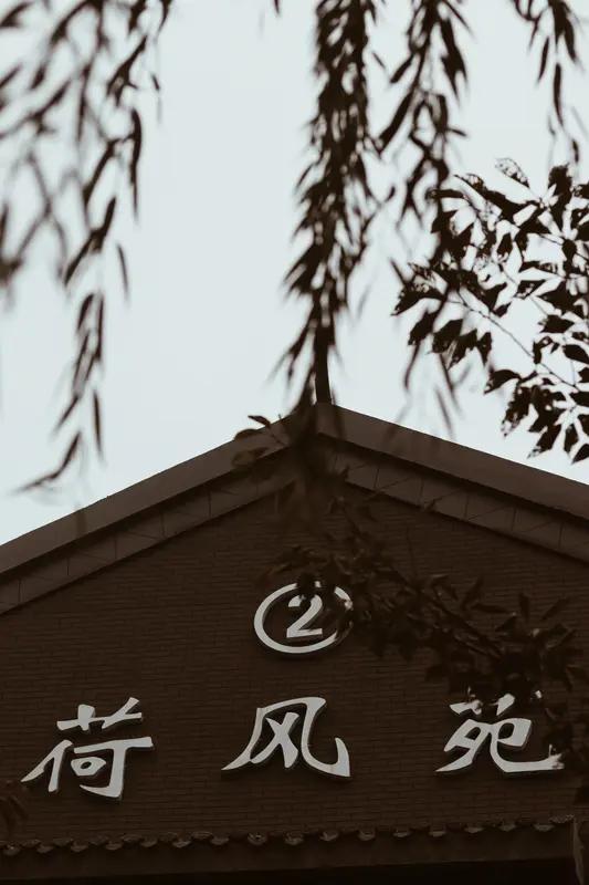 “你若盛开，清风自来”，这句话简直能成为改变自己的神助攻。以前我总在意外界的看法