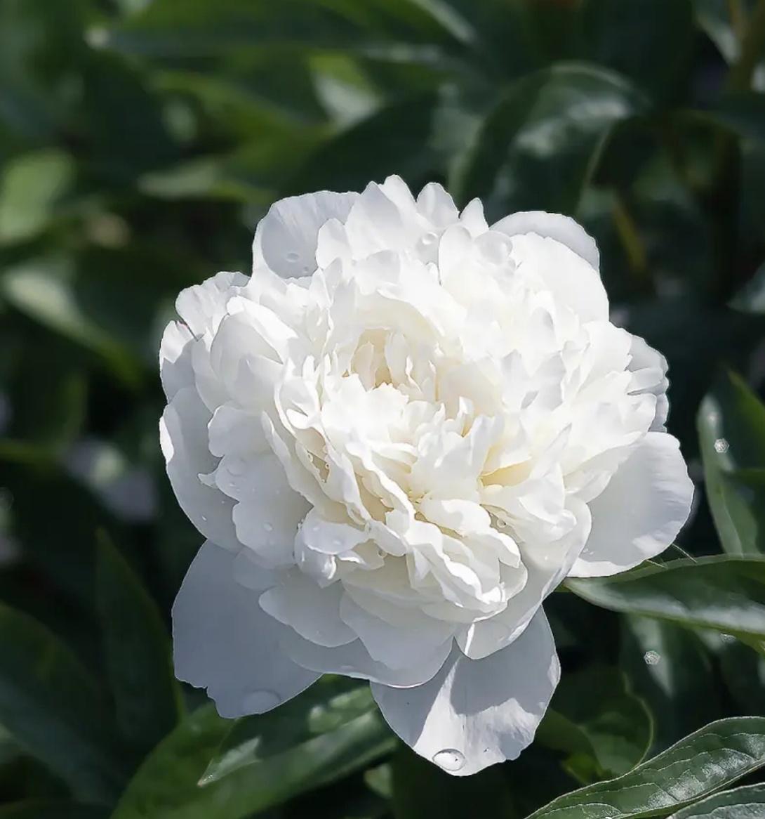 蚂蚁森林超话 4🌺🌺🌺🌺🌺🌺🌺🌺

    慈善就在身边，就在眼