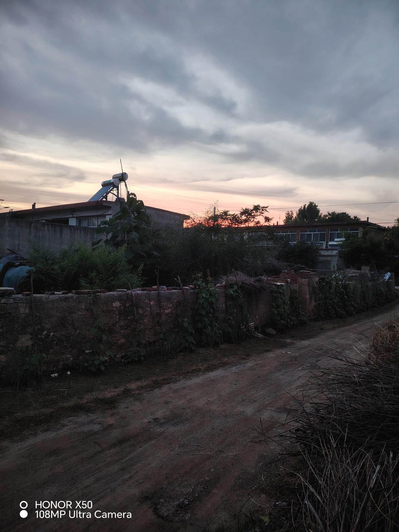 乡村小路，绿树成荫，静谧而美好。