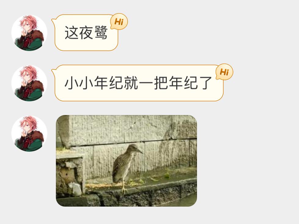 思考鸟生的夜鹭 ​​​