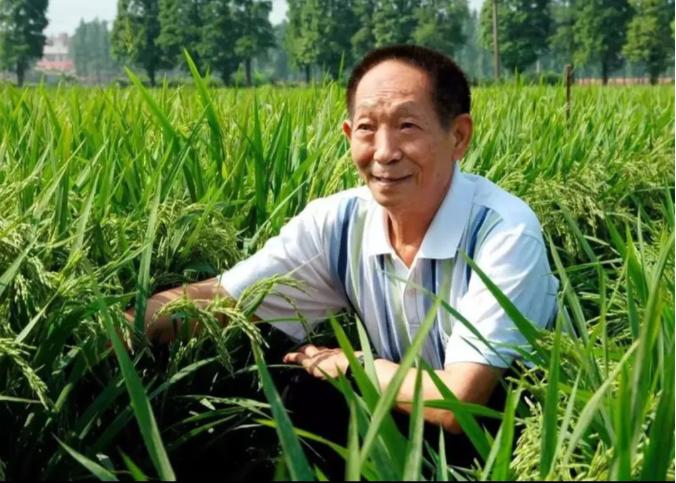 在 2008 年的一次车展活动中，袁隆平先生在现场被一辆价值 68.8 万的敞篷