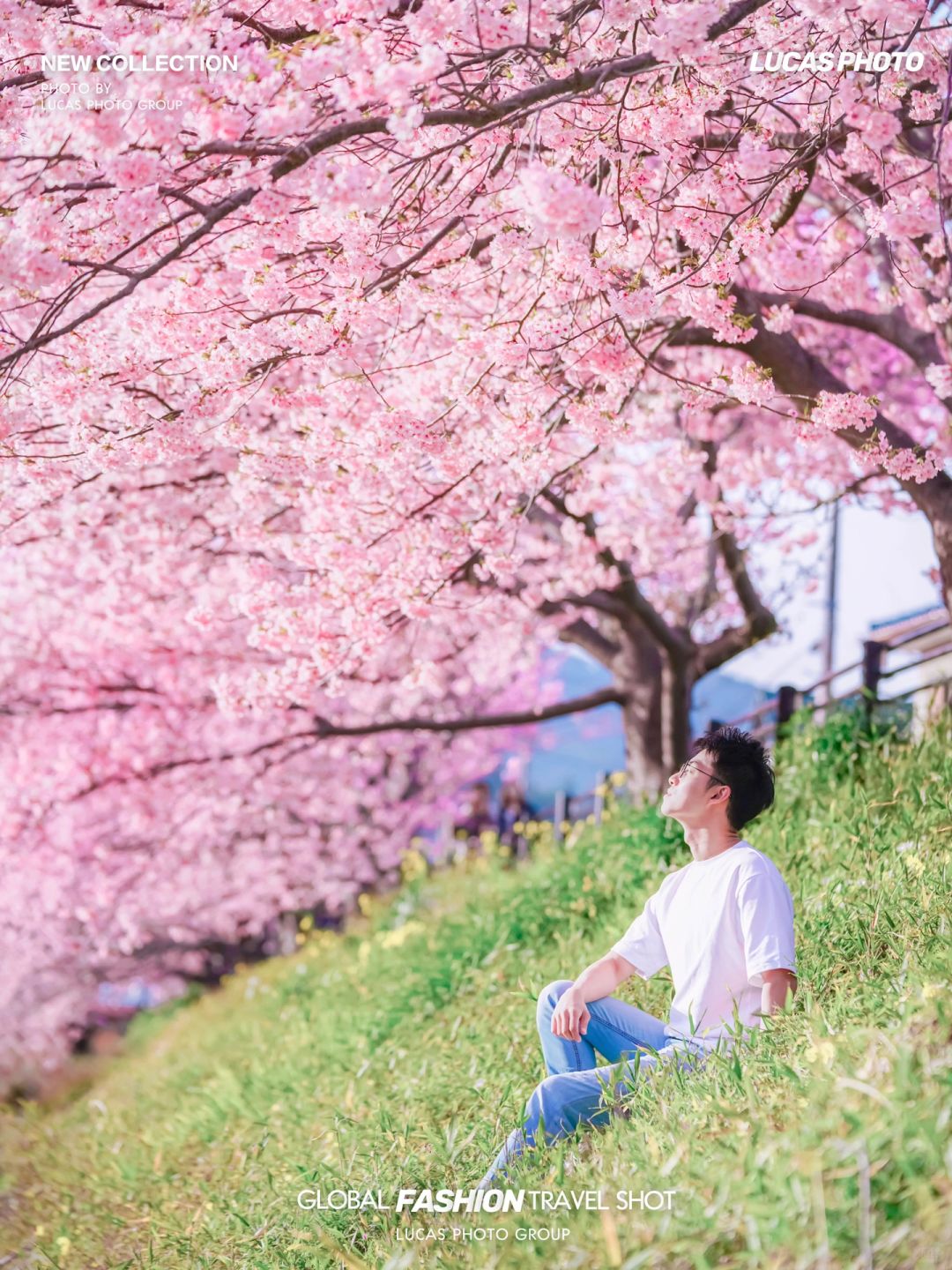 春天的第一场樱花在河津盛开了🌸附详细攻略