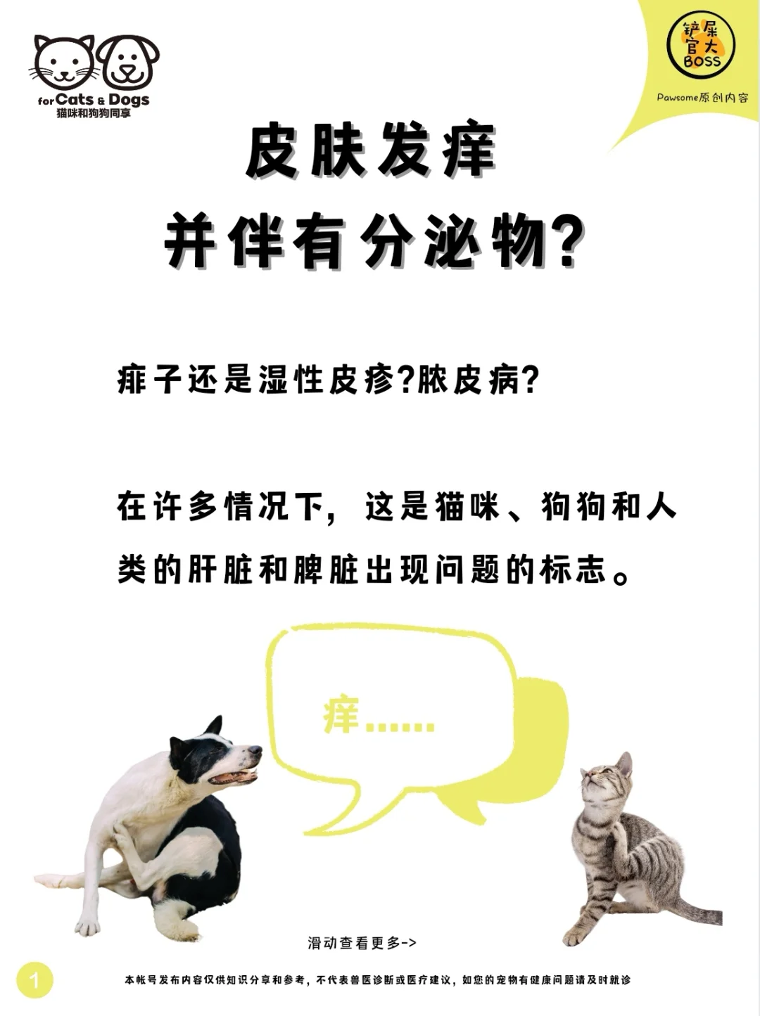 皮肤发痒并伴有分泌物?