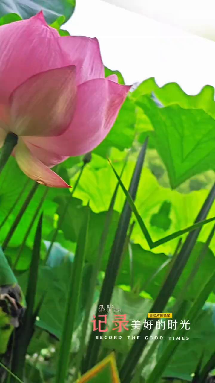 记录美好的时光，五月里的小美好。
世界很大，总有一处风景属于你。