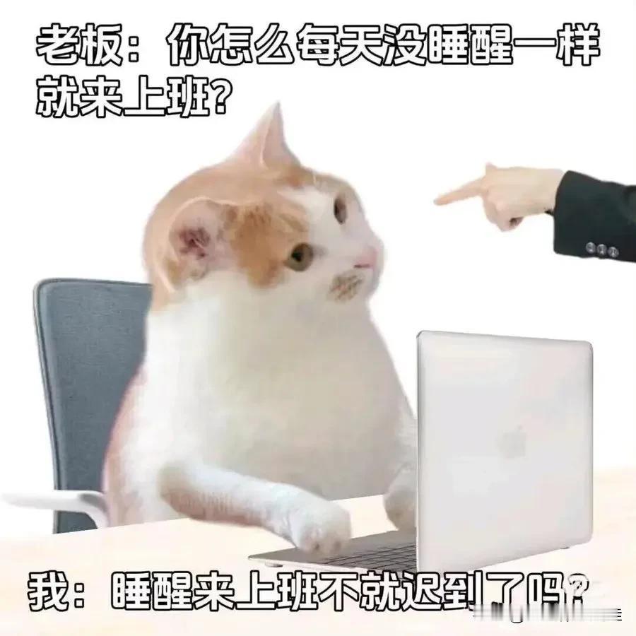 “如果事与愿违，请一定相信是上天另有安排。”