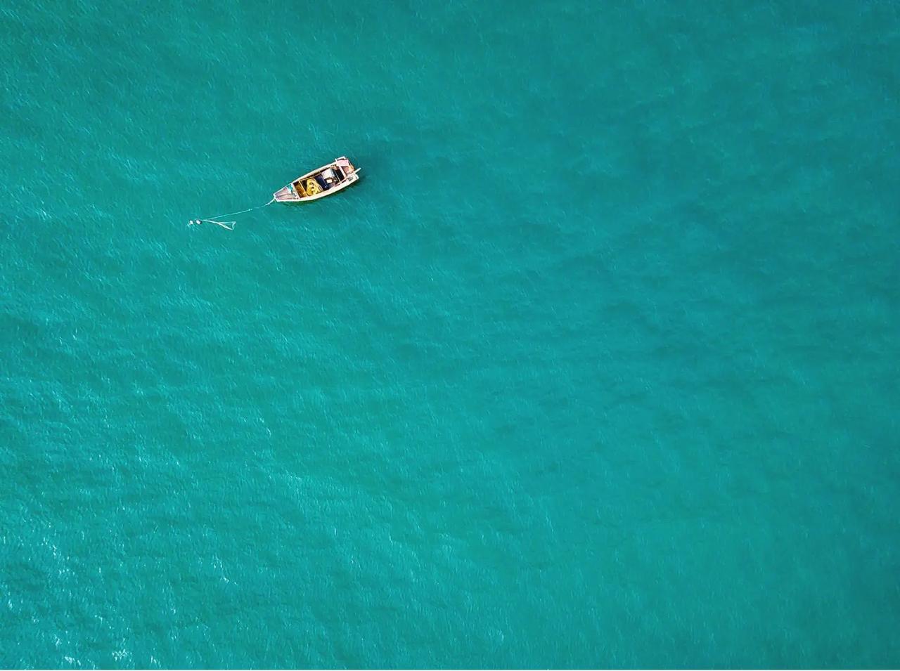 快来看看我新换的主页背景吧