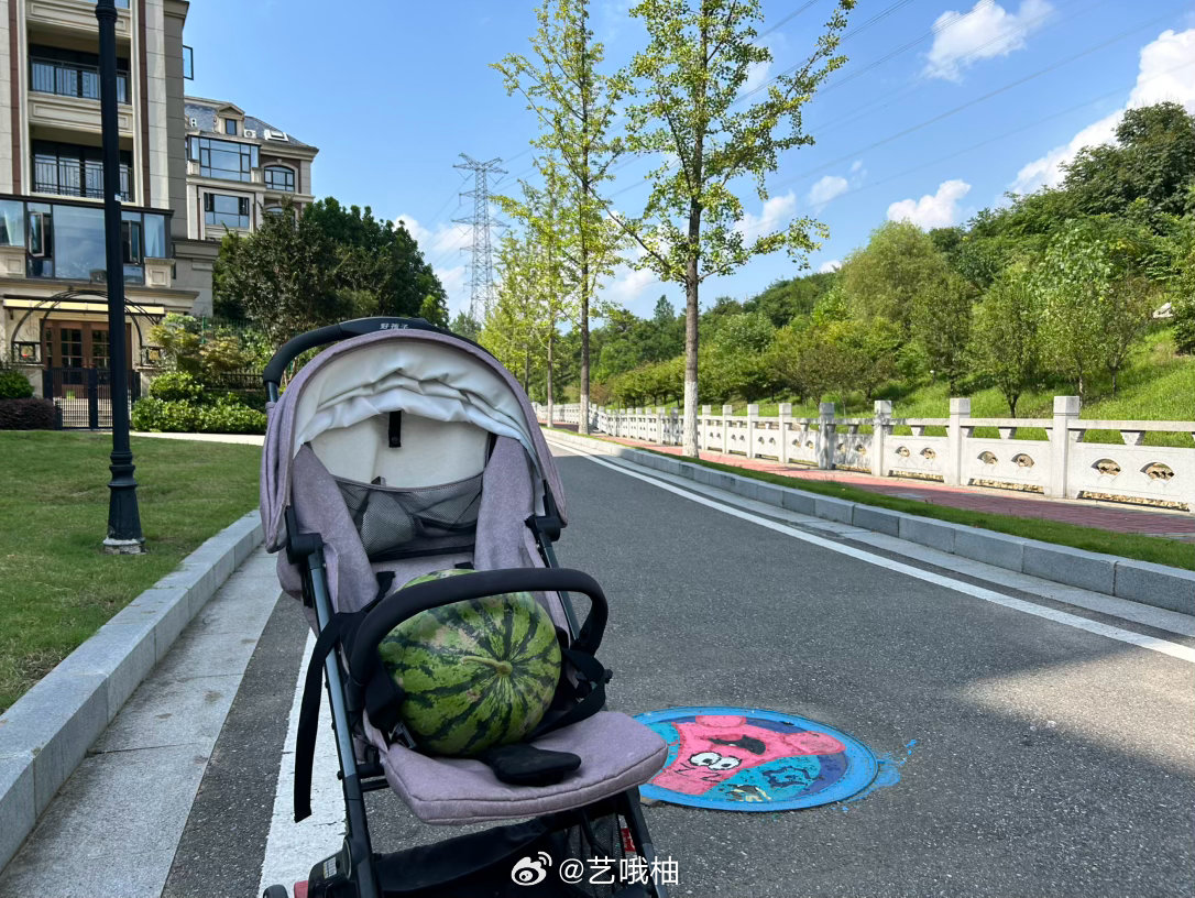 楼管让我去拿一个西瓜🍉每家每户发一个！（物业助农，免费发放）让我推车去，我想着