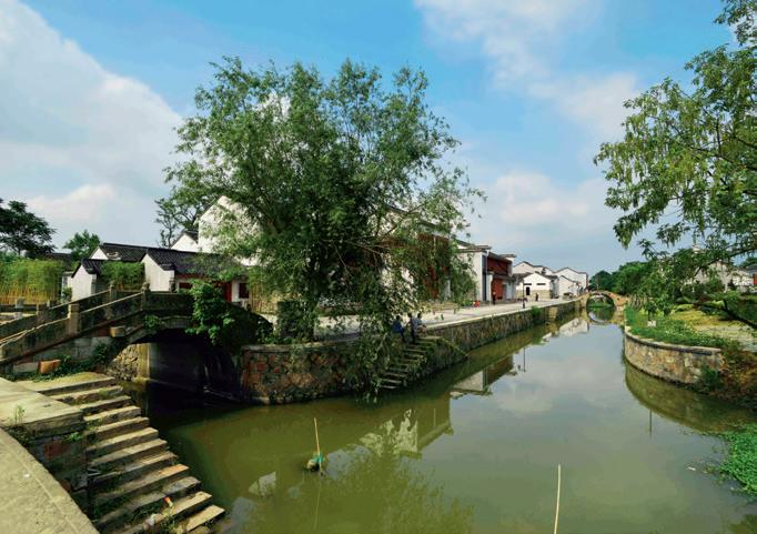 一群韩国老人跪在浙江湖州的古桥边嚎啕大哭，只因桥名和族谱上记载的一模一样 —— 