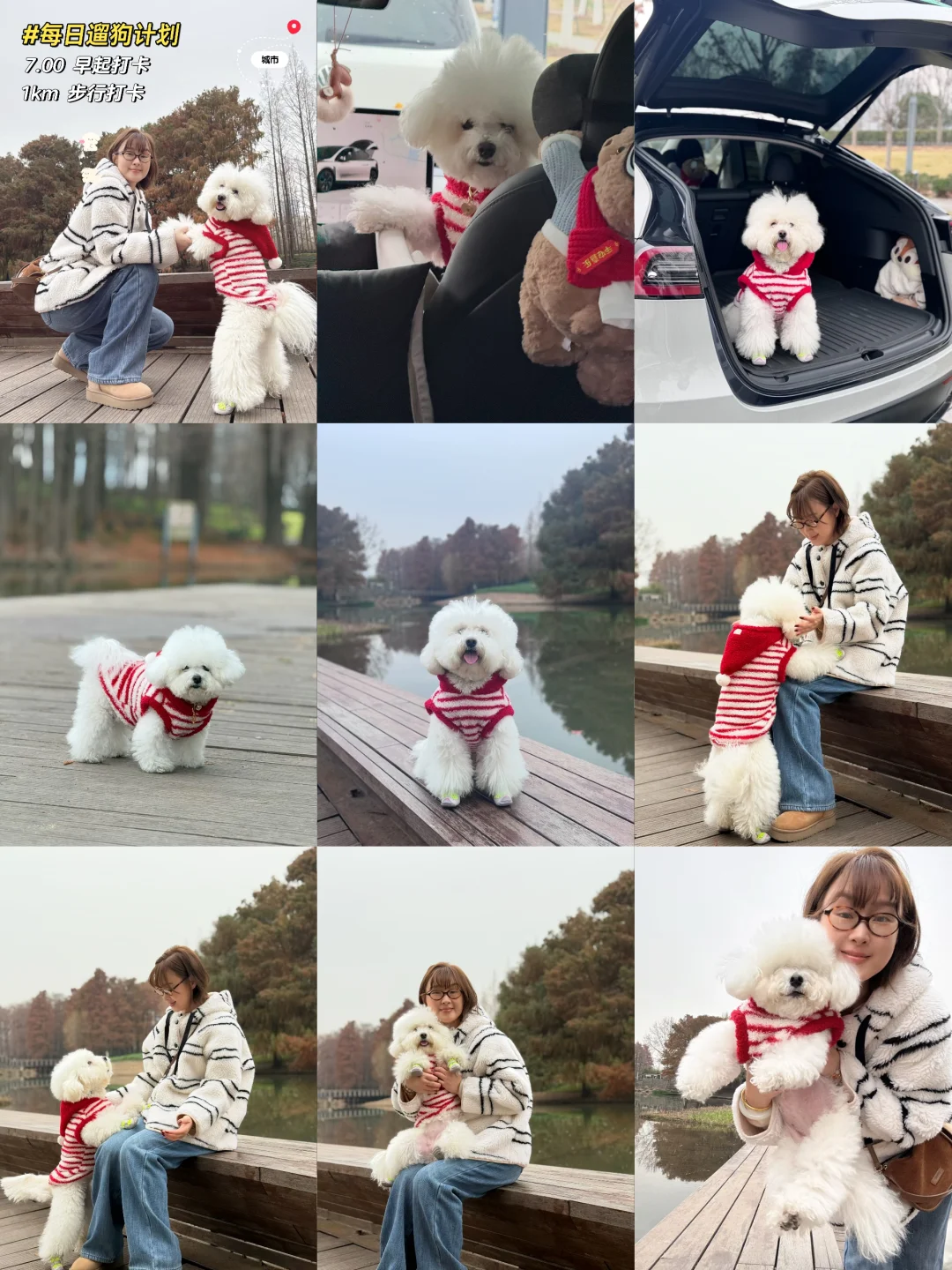 这条绿道太适合遛狗了