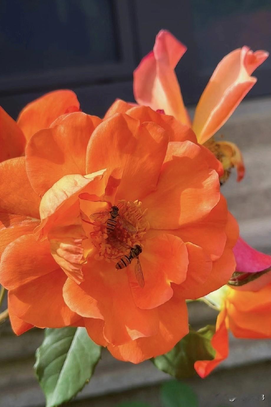 友们你今天收到奖金了吗？[大笑]我挺开心的，今天收到了 128.22元。这可是自