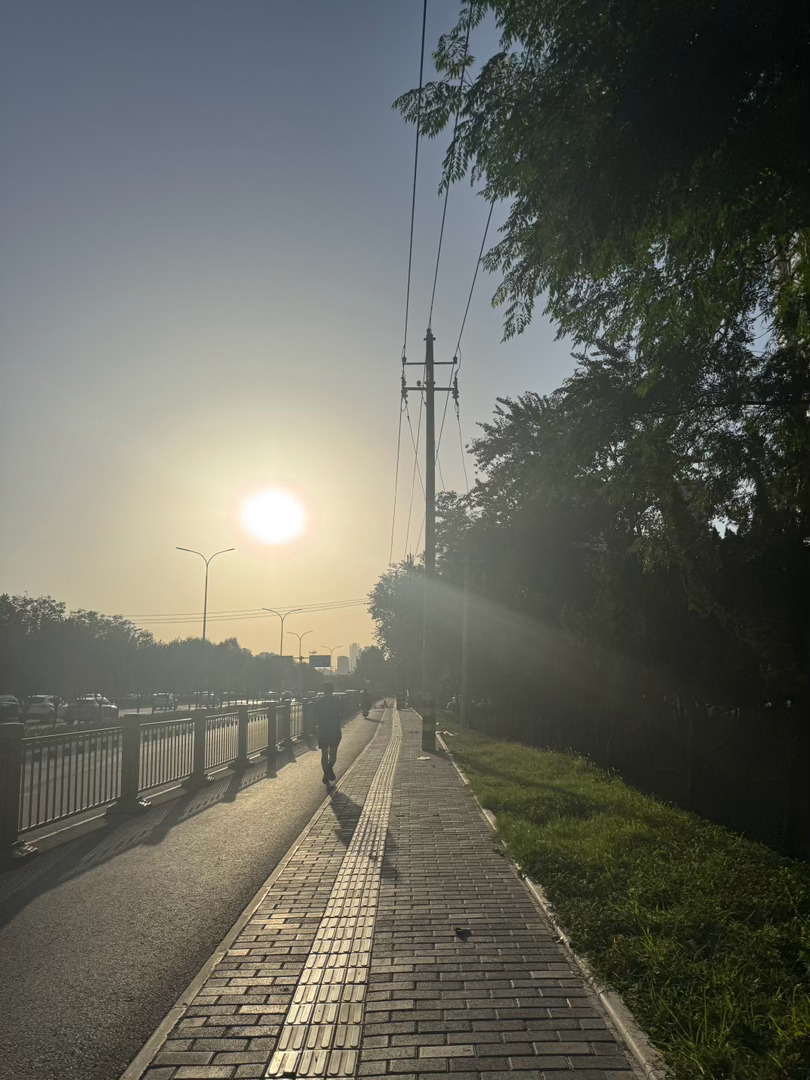 今天还能凉快一点，早上锻炼的时候发现了一只小小鸟🐦这是什么鸟呢 西安·老城根G