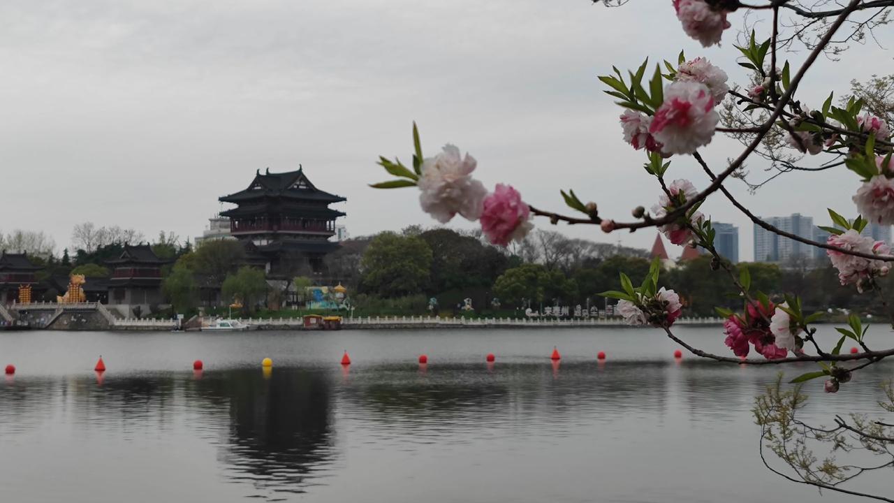 最味，位于江苏省泰州市凤城河景区的泰州桃园，拆墙透绿，提升品味，桃园的景色更美了