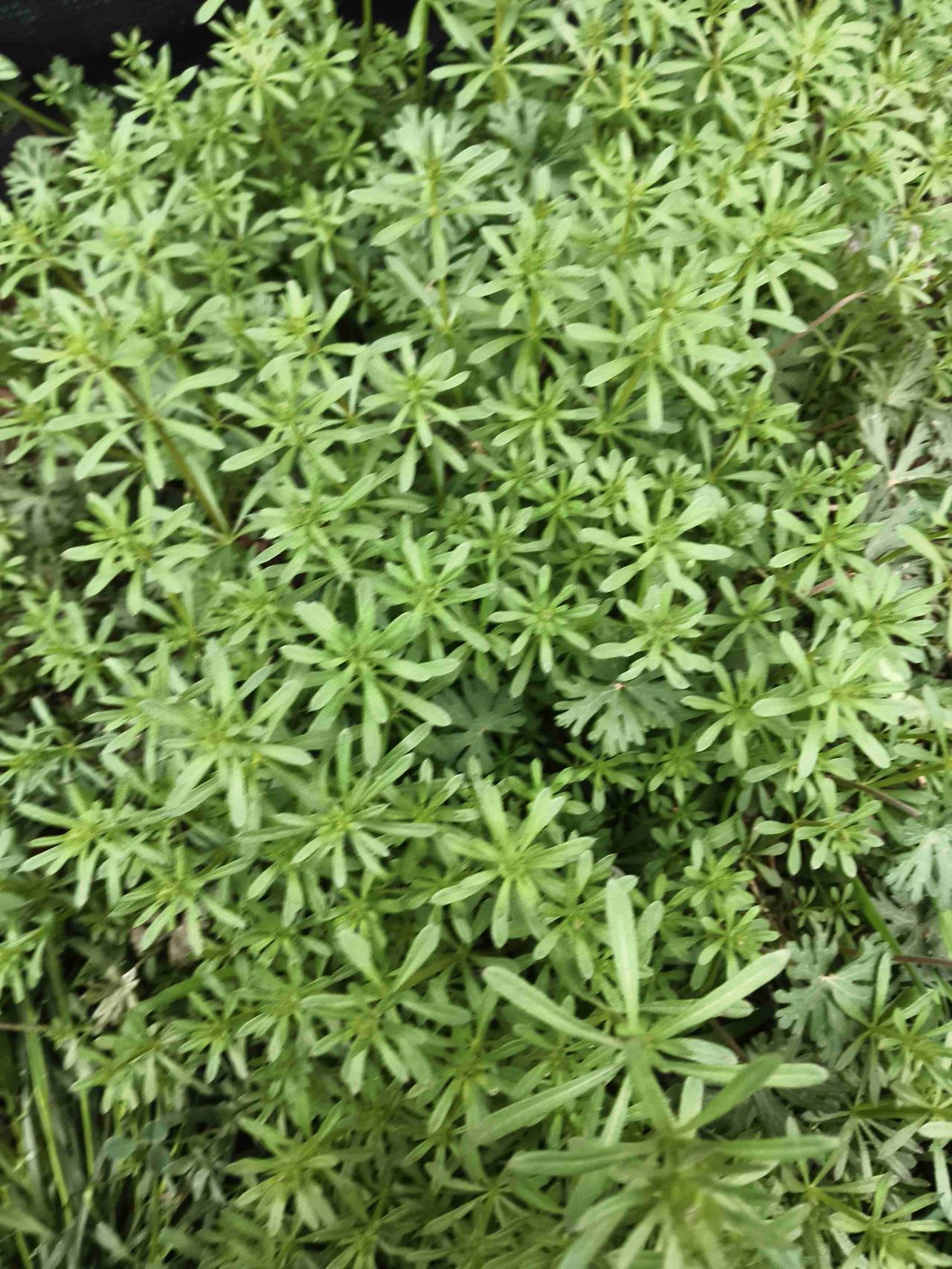 我的今日状态：😁轻松愉快
我这里的天气：☀️晴天