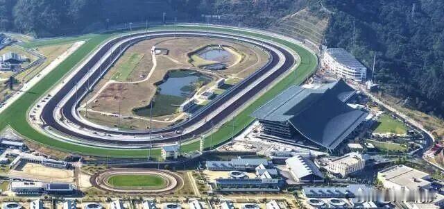 【广州马年赛马来了】广州停摆近30年的赛马运动今年将再度重启！据了解，从化马场将