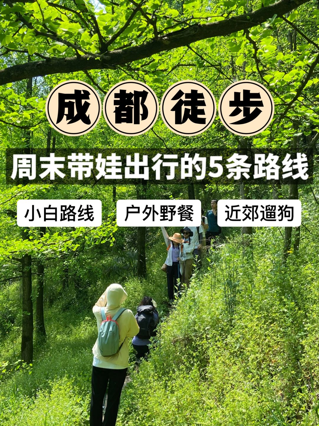 成都近郊📍周末这5条带娃徒步踏青路线