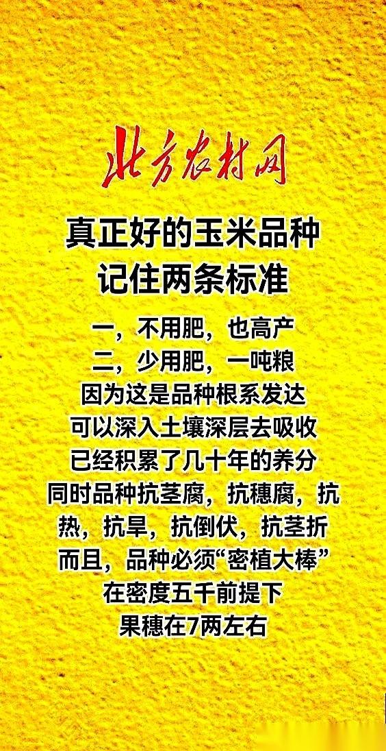 我跟你说个狠的。
有一说一，现在的好玉米，是真能做到“不用肥，也高产”。
你别不