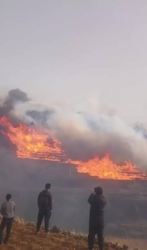 刷到五台山景区突发火情真的太揪心了，本来是大家祈福游玩的地方，突然冒起浓烟，加上