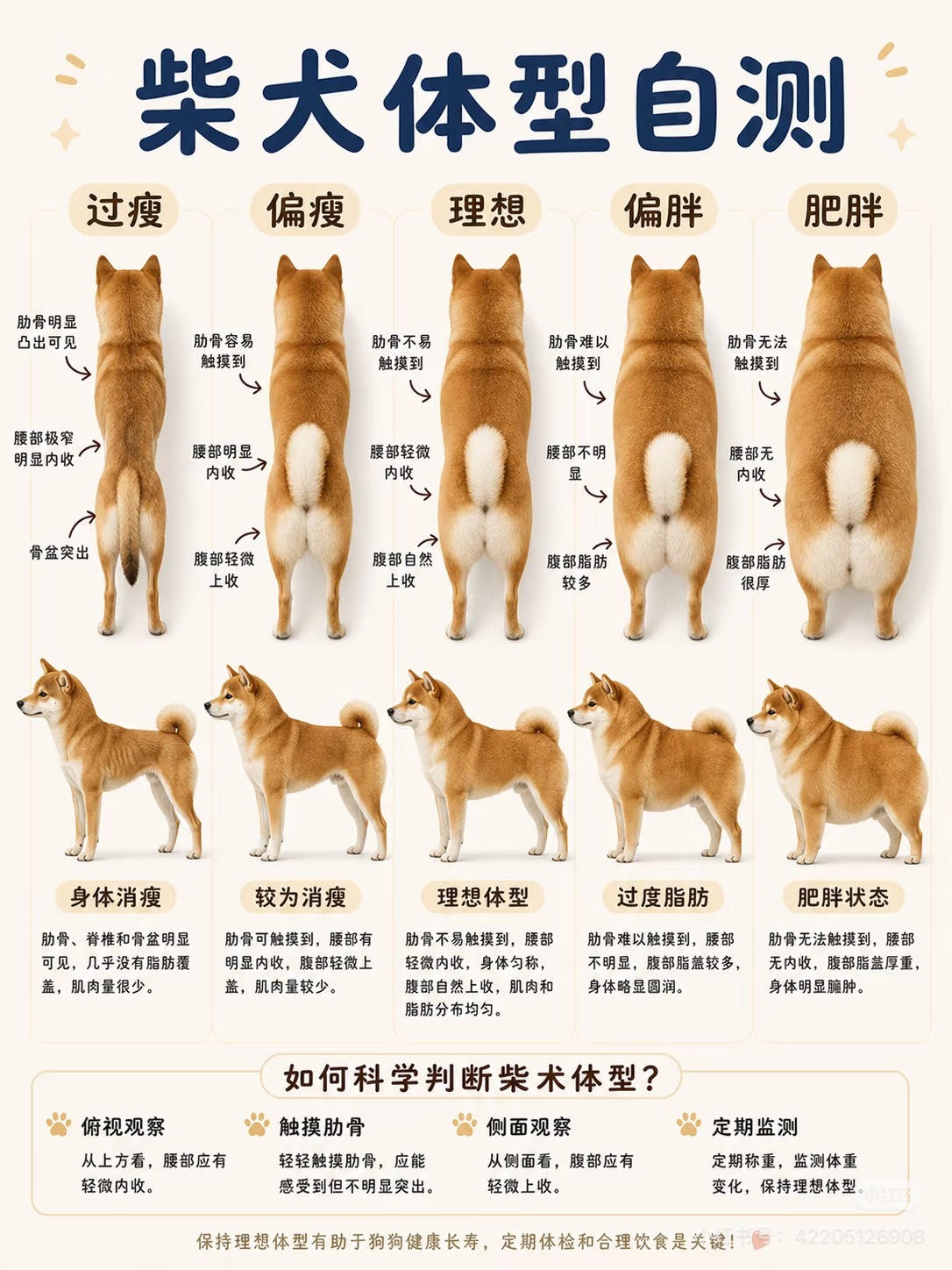 少爷 30 斤了，有点油腻了 
