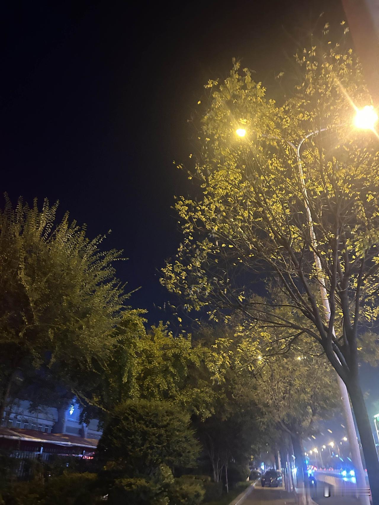 一天的忙碌疲惫都会在晚上接到小闺女的瞬间消散在清凉的晚风里了。

晨送暮归，在接